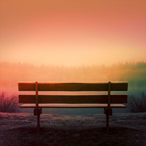 Bench and path in a calm park during golden hour